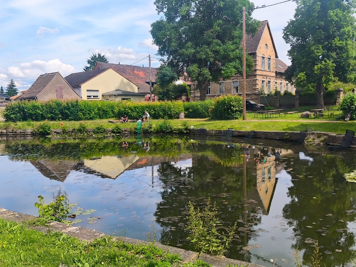 Dorfteich Steuden